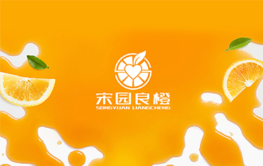 某良橙——无锡LOGO设计
